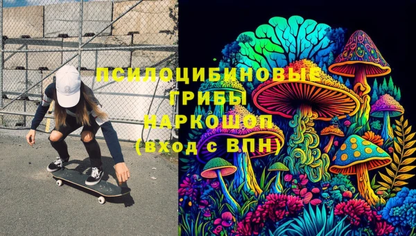 эйфоретик Алзамай