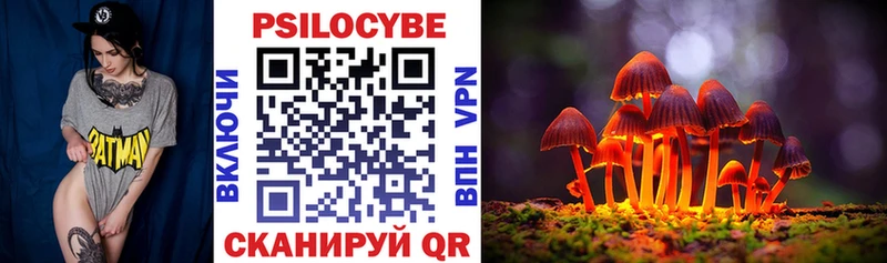 Галлюциногенные грибы ЛСД  купить наркотики цена  Сортавала 