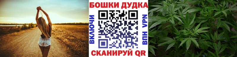 Марихуана ГИДРОПОН  MEGA зеркало  Сортавала  магазин  наркотиков 